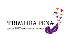 Primeira Pena